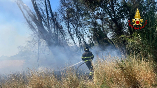 Pesaro - Incendio in un campo agricolo di 20 ettari, spento da tre squadre dei vigili del fuoco